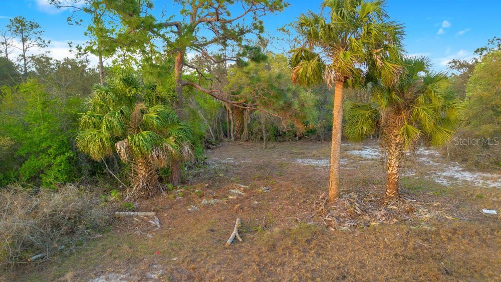 Property for sale at 1411 SARASOTA COURT, POINCIANA, FL, 34759