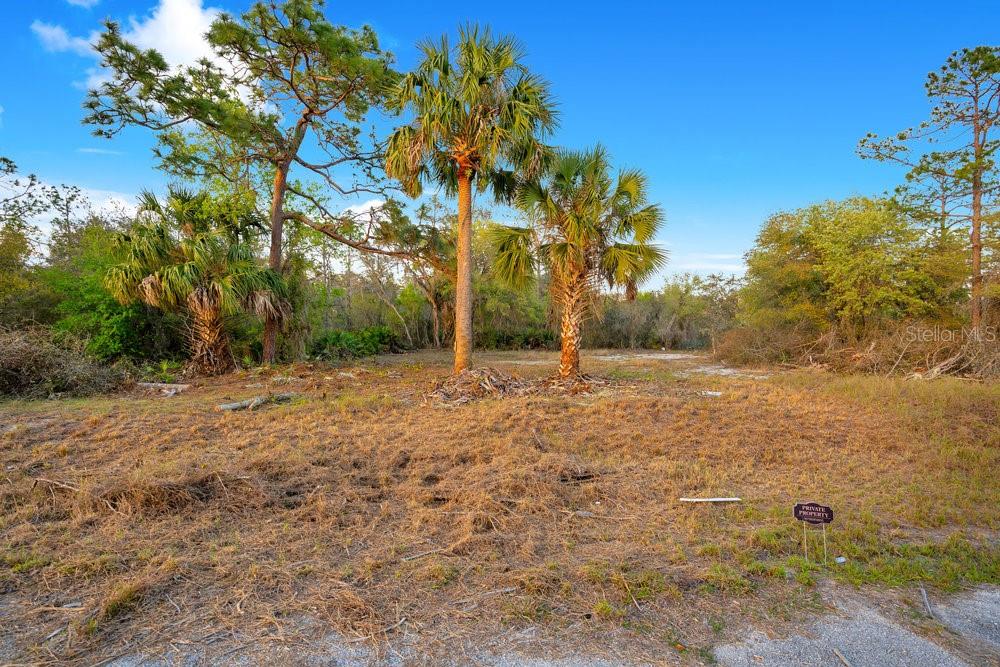Property for sale at 1411 SARASOTA COURT, POINCIANA, FL, 34759
