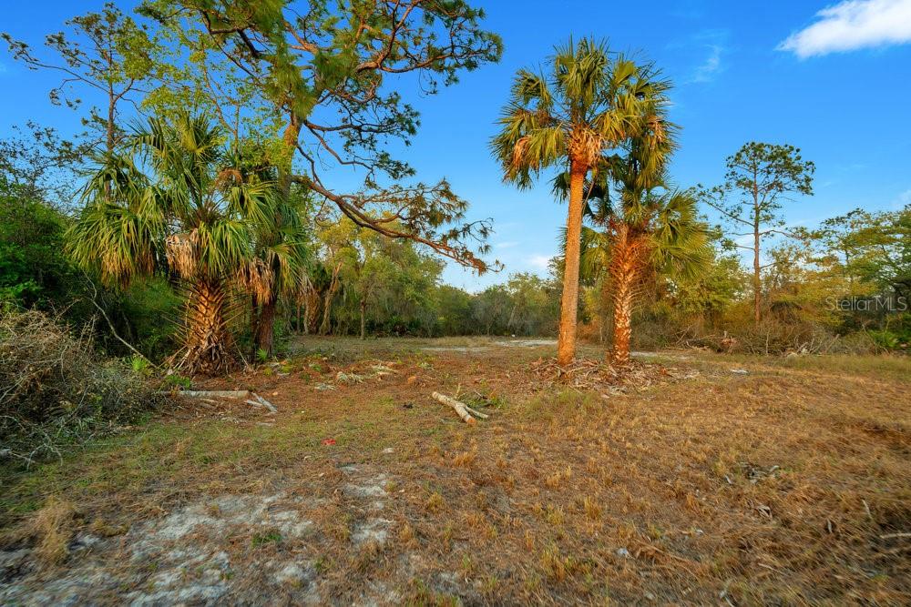 Property for sale at 1411 SARASOTA COURT, POINCIANA, FL, 34759