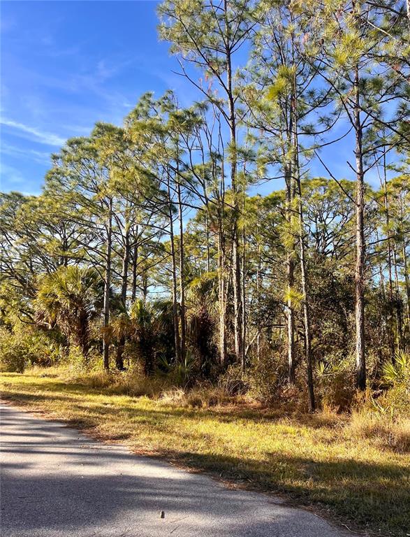 Property for sale at 13084 HARBISON AVENUE, PORT CHARLOTTE, FL, 33953