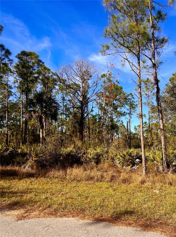 Property for sale at 13084 HARBISON AVENUE, PORT CHARLOTTE, FL, 33953