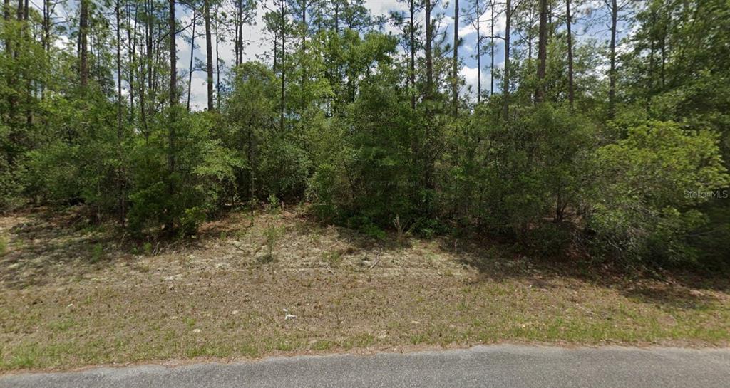 Property for sale at 6477 N ELNORA WAY, DUNNELLON, FL, 34433