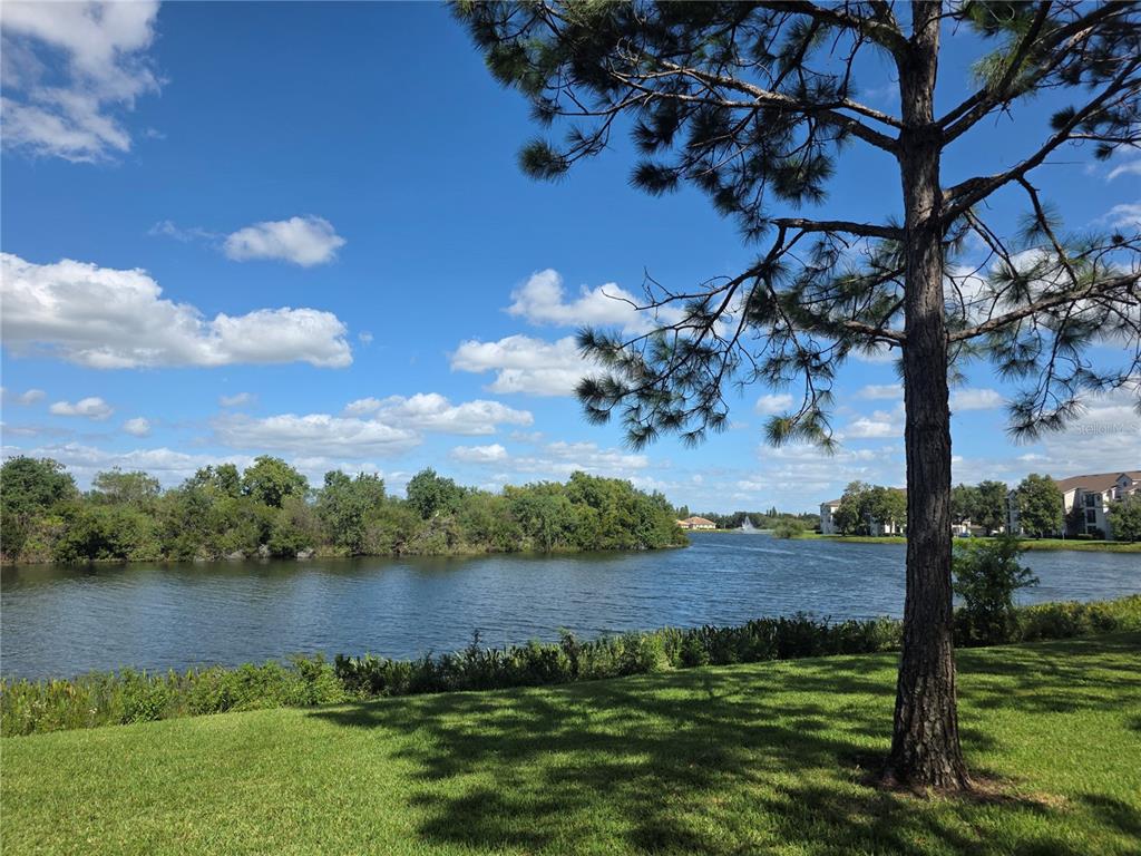 Property for sale at 2401 LEXINGTON OAK DRIVE, BRANDON, FL, 33511