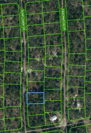 Property for sale at 245 SUNFLOWER AVENUE, LAKE PLACID, FL, 33852