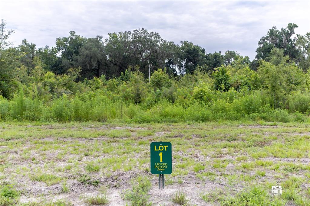 Property for sale at 1480 OXFORD PRESERVE TRL, OXFORD, FL, 34484