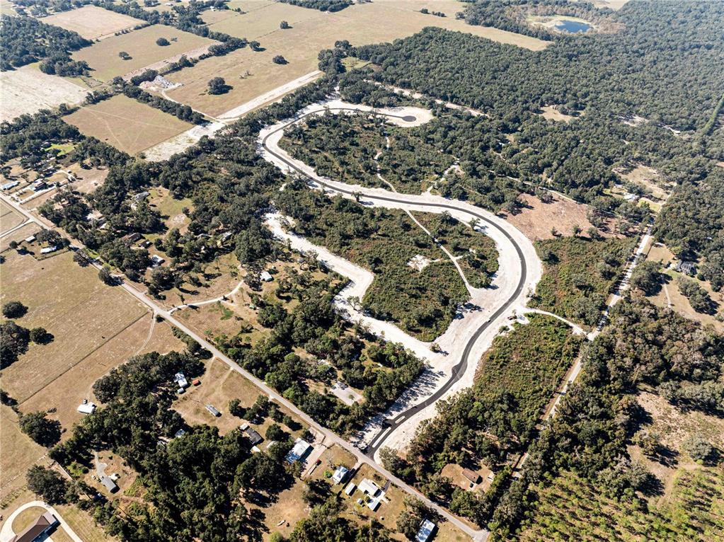 Property for sale at 1480 OXFORD PRESERVE TRL, OXFORD, FL, 34484