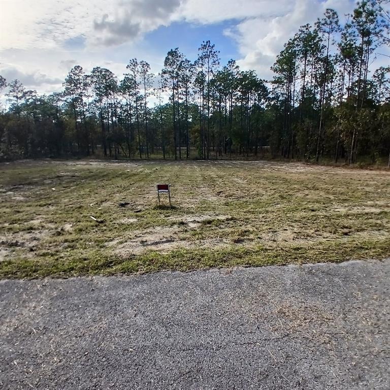 Cleared land