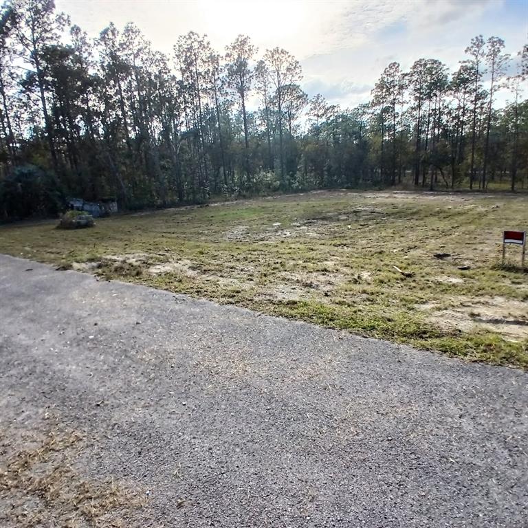 Property for sale at NARCISSUS, DUNNELLON, FL, 34431