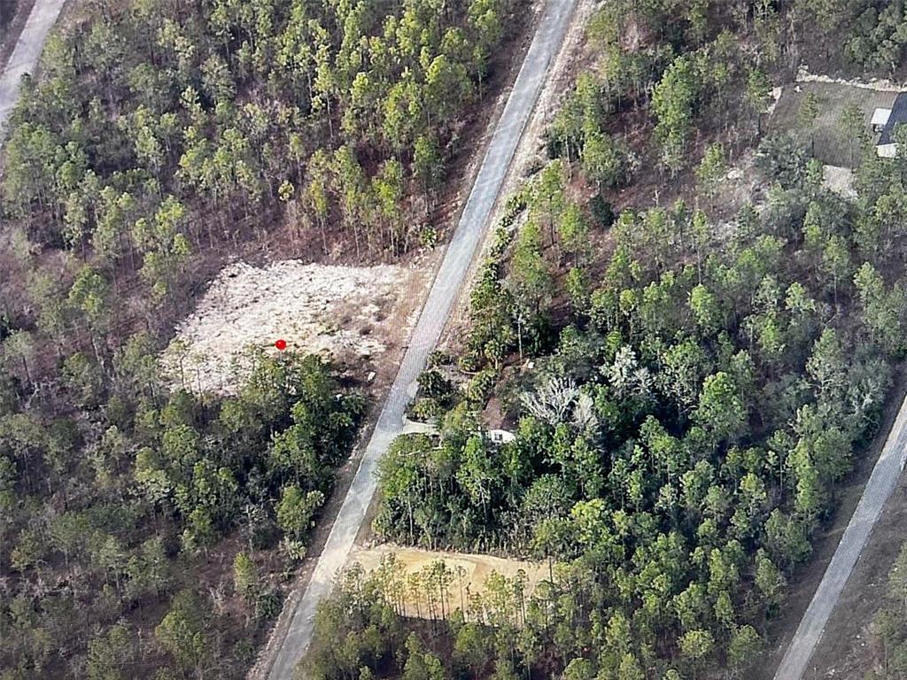 Property for sale at NARCISSUS, DUNNELLON, FL, 34431