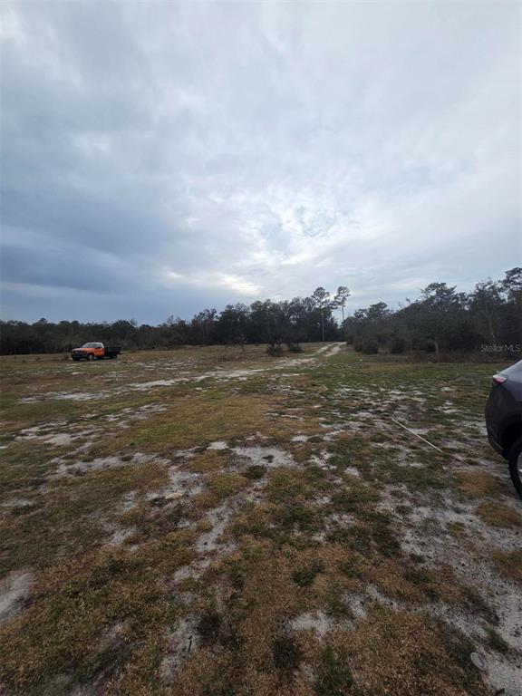 Property for sale at 35238 MANUEL STREET, WEBSTER, FL, 33597