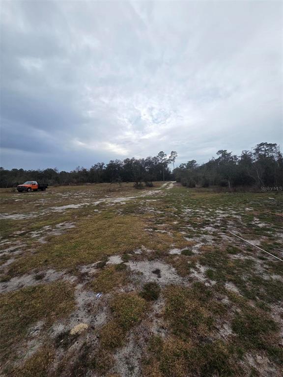 Property for sale at 35238 MANUEL STREET, WEBSTER, FL, 33597