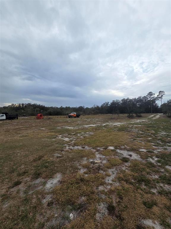 Property for sale at 35238 MANUEL STREET, WEBSTER, FL, 33597