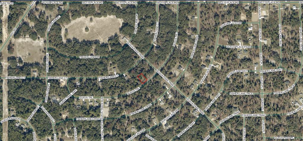 Property for sale at 9038-1252-28 GUAVA TRAIL, OCKLAWAHA, FL, 32179