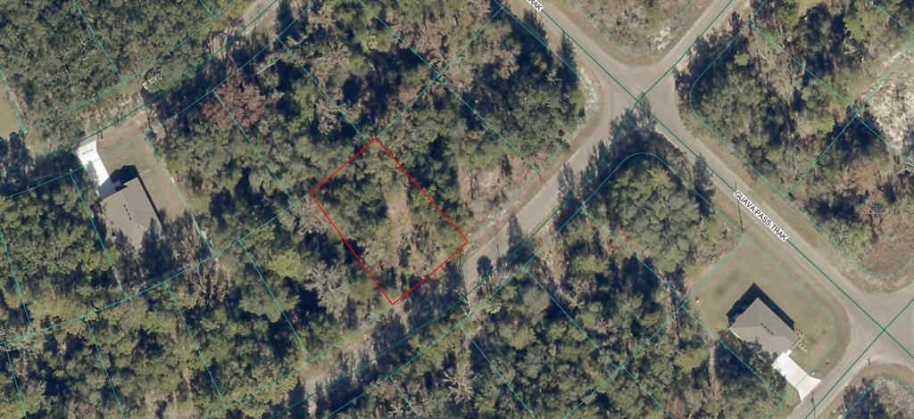 Property for sale at 9038-1252-28 GUAVA TRAIL, OCKLAWAHA, FL, 32179