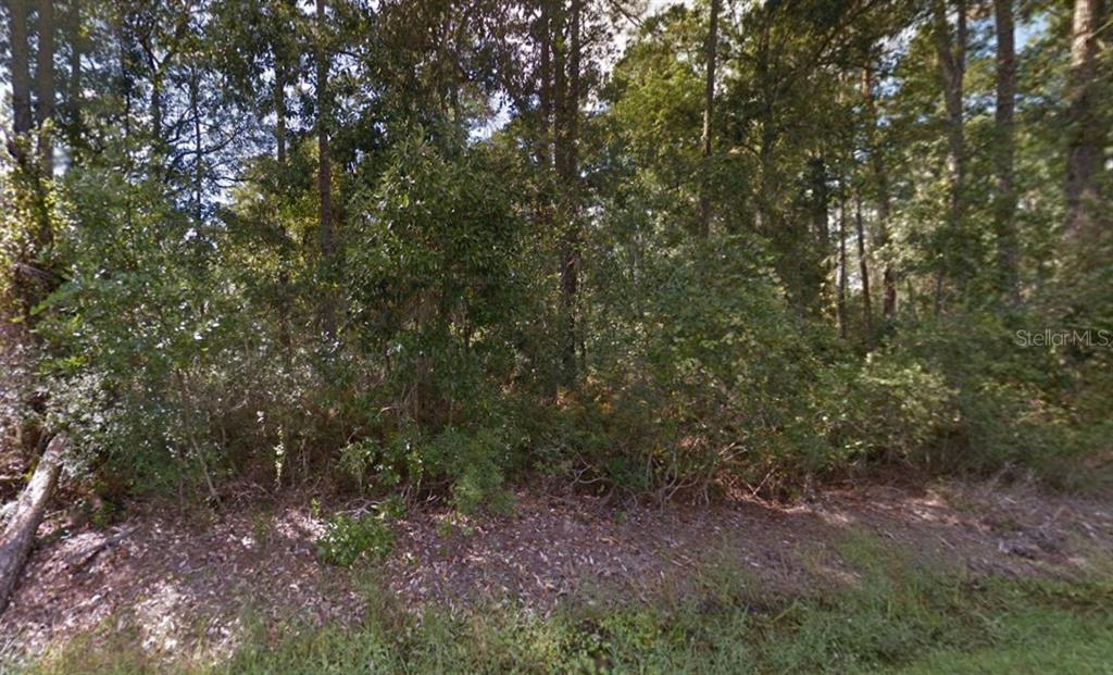 Property for sale at 10TH AVENUE, DELAND, FL, 32724