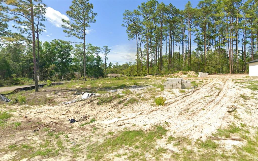 Property for sale at 1127 W CARY DRIVE, CITRUS SPRINGS, FL, 34434