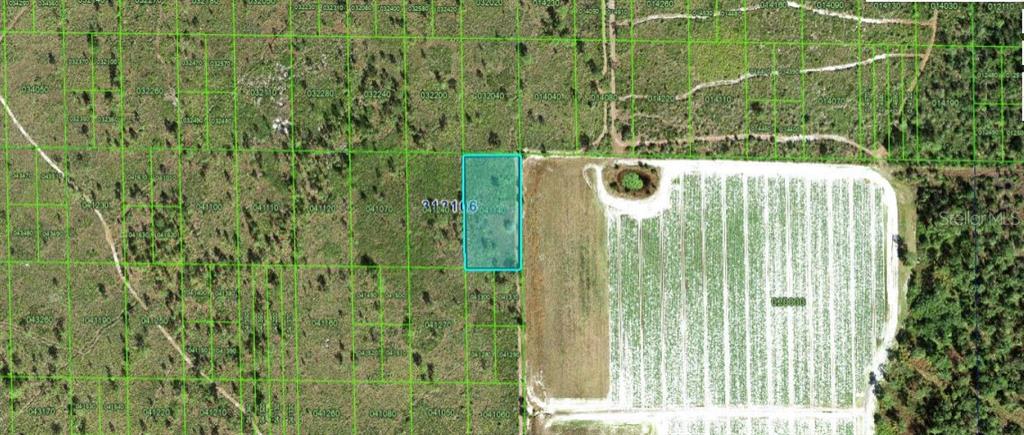 Property for sale at GRAPE HAMMOCK RD, LAKE WALES, FL, 33898