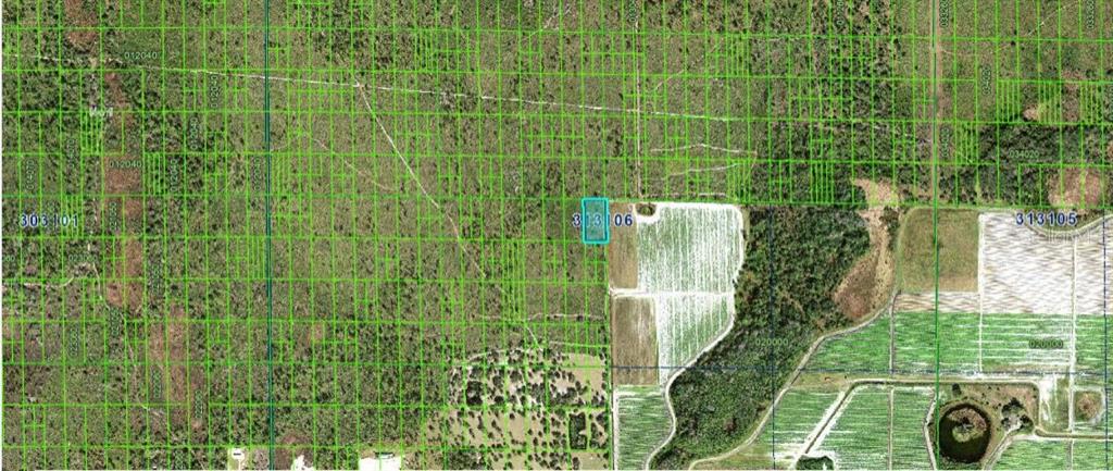 Property for sale at GRAPE HAMMOCK RD, LAKE WALES, FL, 33898
