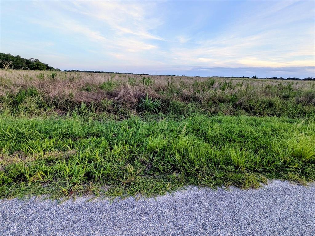 Property for sale at TOM BRYAN RD, ZOLFO SPRINGS, FL, 33890
