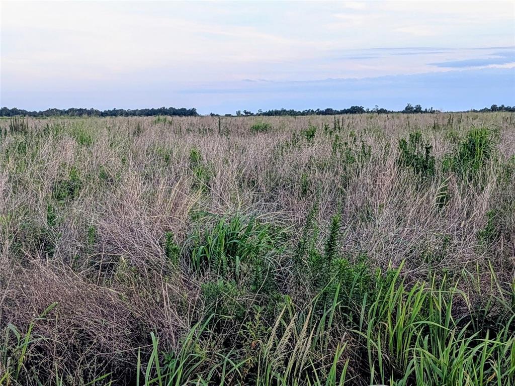 Property for sale at TOM BRYAN RD, ZOLFO SPRINGS, FL, 33890