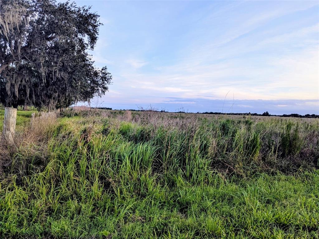 Property for sale at TOM BRYAN RD, ZOLFO SPRINGS, FL, 33890