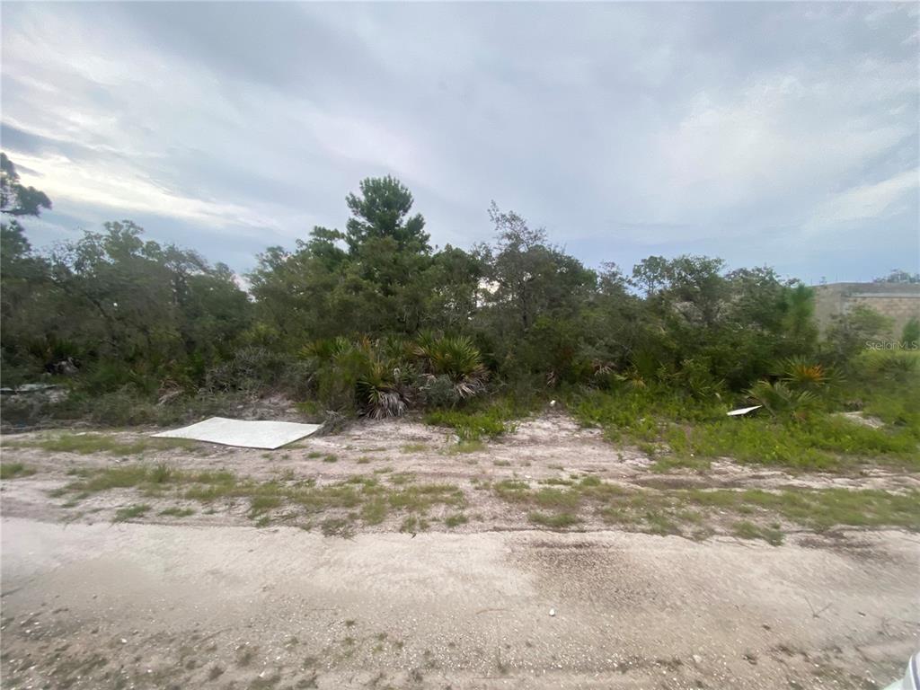 Property for sale at 321 BRANT AVENUE, SEBRING, FL, 33870