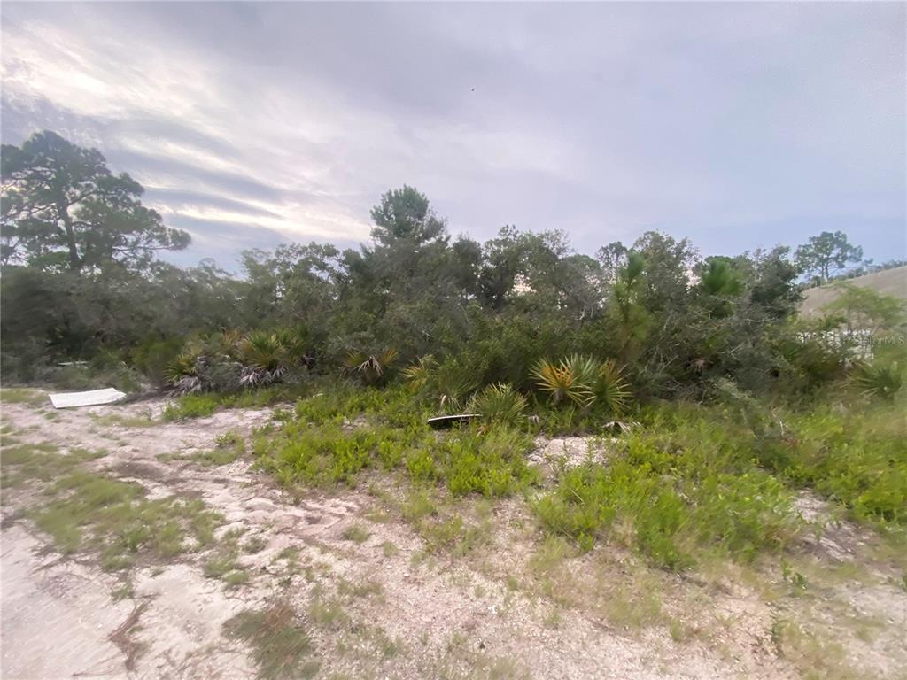 Property for sale at 321 BRANT AVENUE, SEBRING, FL, 33870