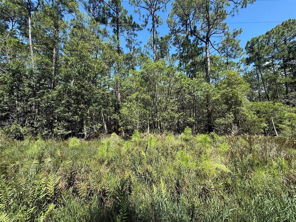 Property for sale at 210 SE 2ND STREET, GEORGETOWN, FL, 32139