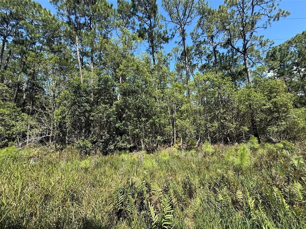 Property for sale at 210 SE 2ND STREET, GEORGETOWN, FL, 32139
