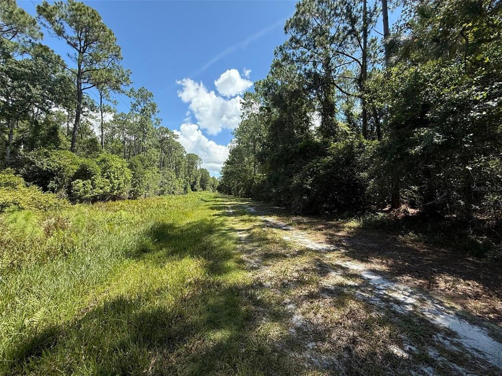 Property for sale at 210 SE 2ND STREET, GEORGETOWN, FL, 32139