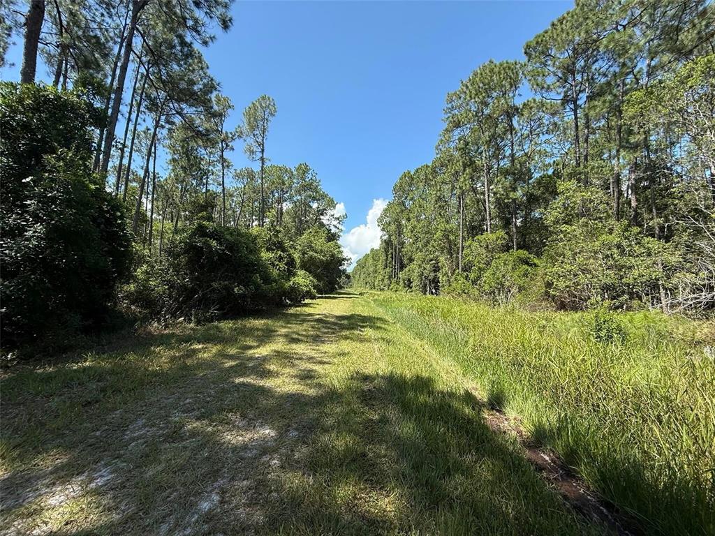 Property for sale at 210 SE 2ND STREET, GEORGETOWN, FL, 32139