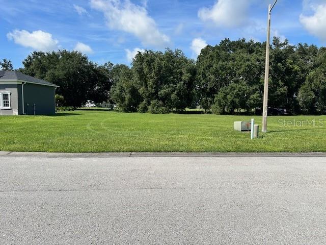 Property for sale at 118 LAYNEWADE ROAD, POLK CITY, FL, 33868