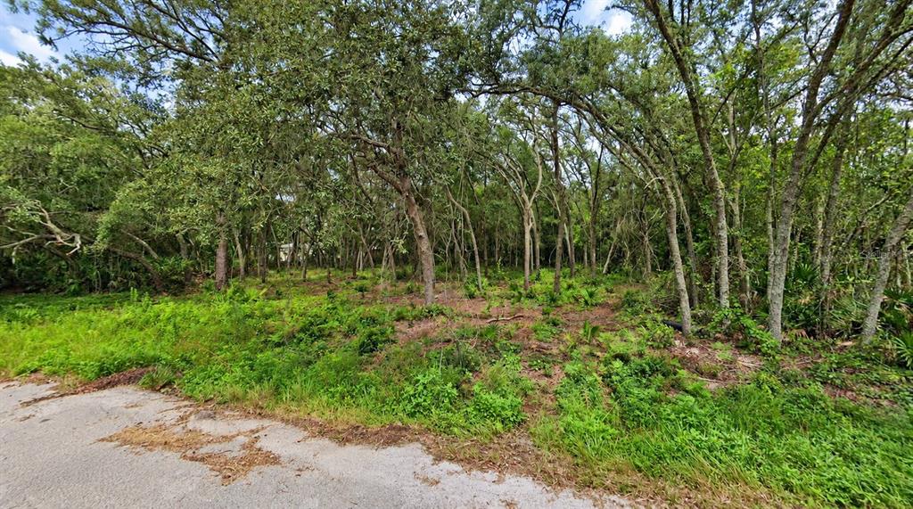 Property for sale at 0 ORLAND STREET, NEW PORT RICHEY, FL, 34654