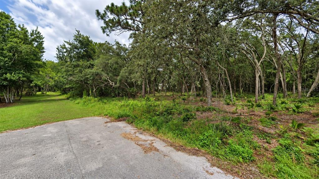 Property for sale at 0 ORLAND STREET, NEW PORT RICHEY, FL, 34654