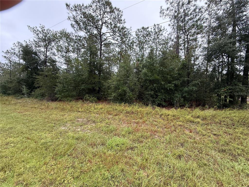 Property for sale at 0 SW MARION OAKS COURSE, OCALA, FL, 34473