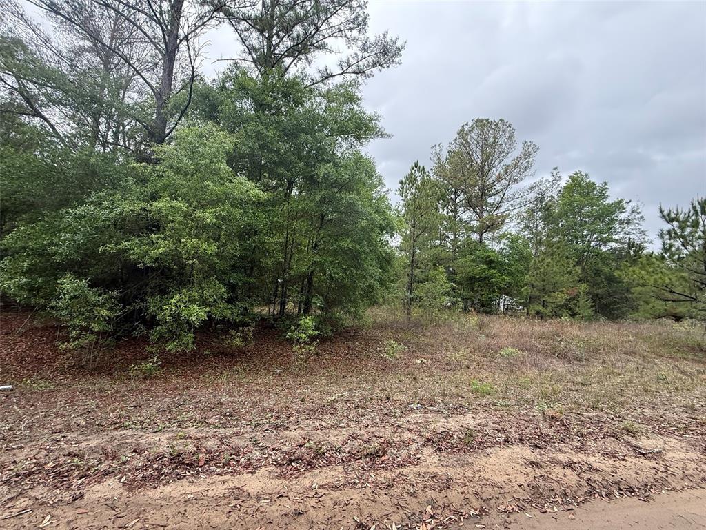 Property for sale at MALTAS AVENUE, INTERLACHEN, FL, 32148