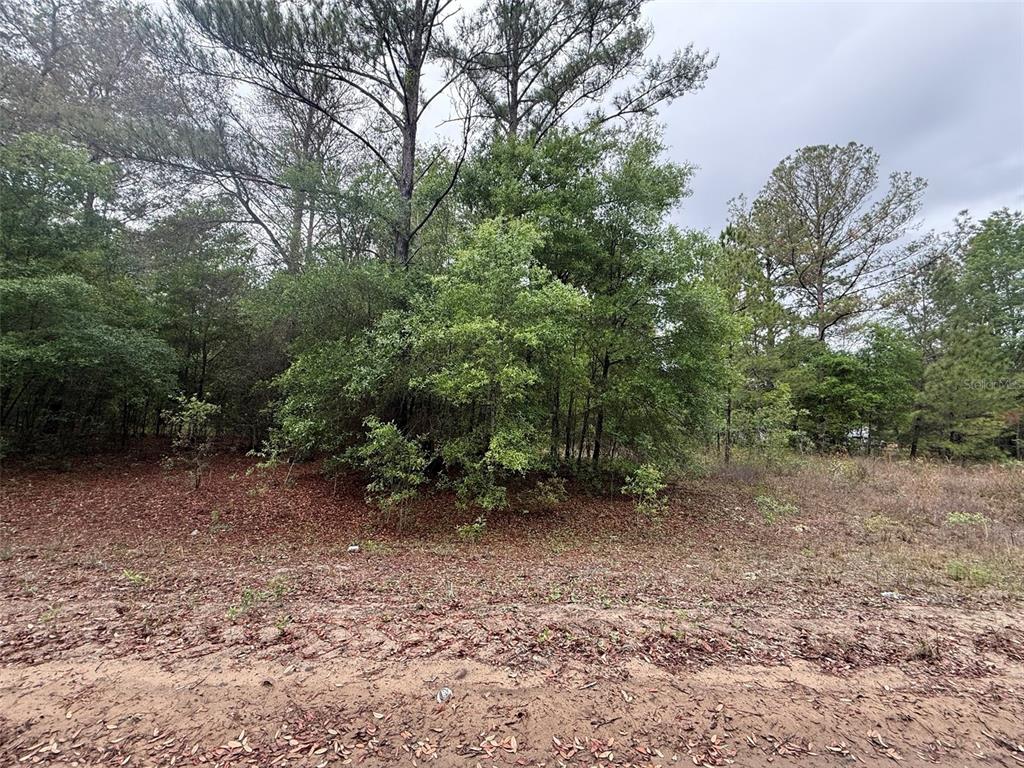 Property for sale at MALTAS AVENUE, INTERLACHEN, FL, 32148