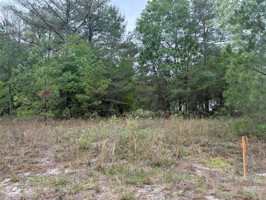 Property for sale at MALTAS AVENUE, INTERLACHEN, FL, 32148