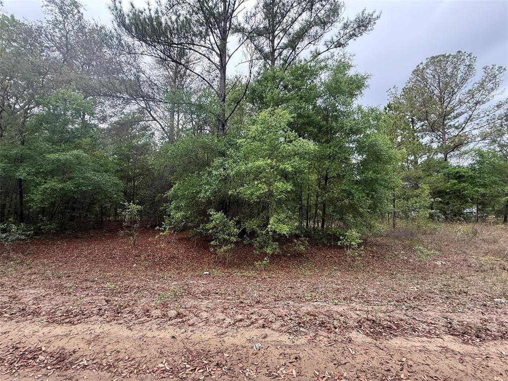 Property for sale at MALTAS AVENUE, INTERLACHEN, FL, 32148
