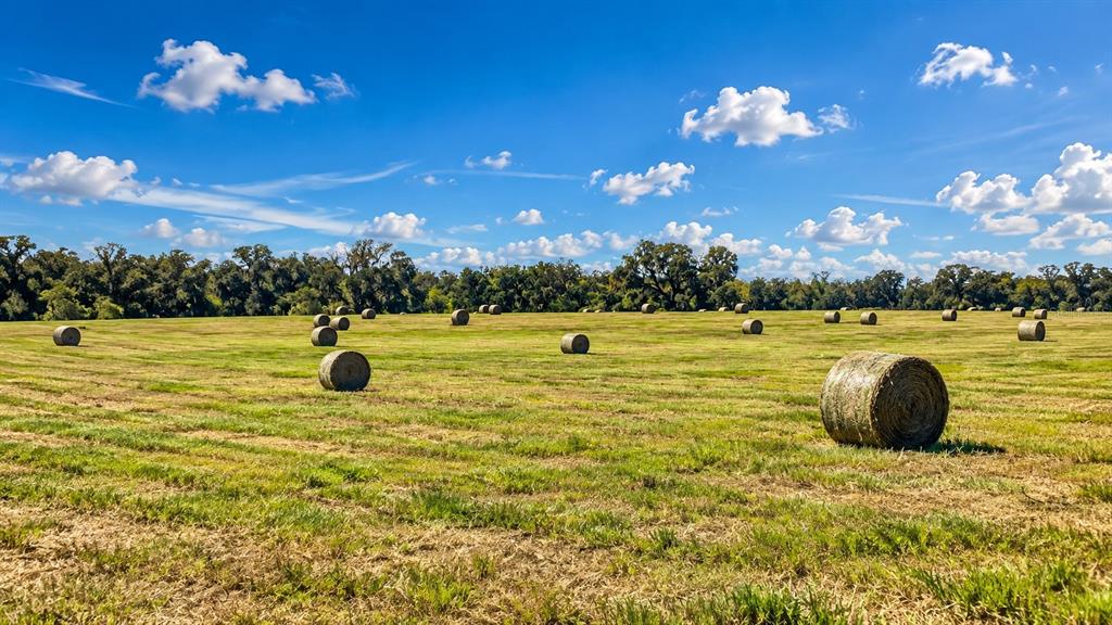 Property for sale at MONDON HILL ROAD, BROOKSVILLE, FL, 34601