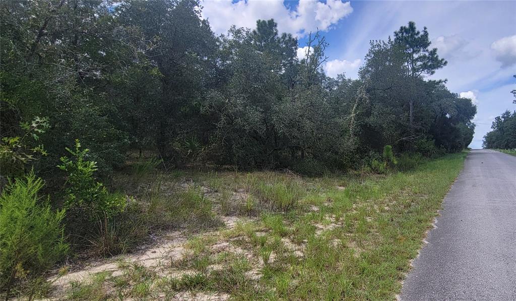 Property for sale at 0 SW BIG BEAR RIDGE, DUNNELLON, FL, 34431