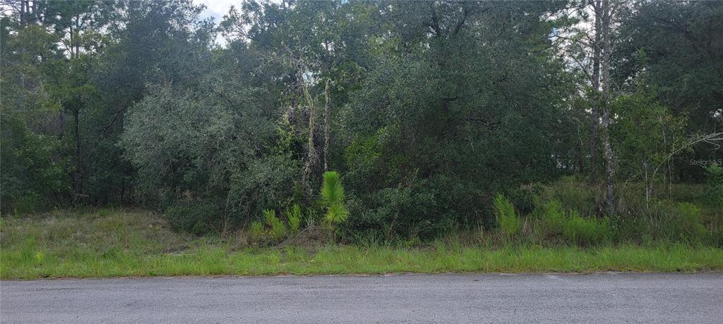Property for sale at 0 SW BIG BEAR RIDGE, DUNNELLON, FL, 34431