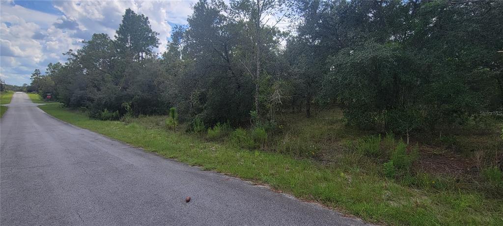 Property for sale at 0 SW BIG BEAR RIDGE, DUNNELLON, FL, 34431