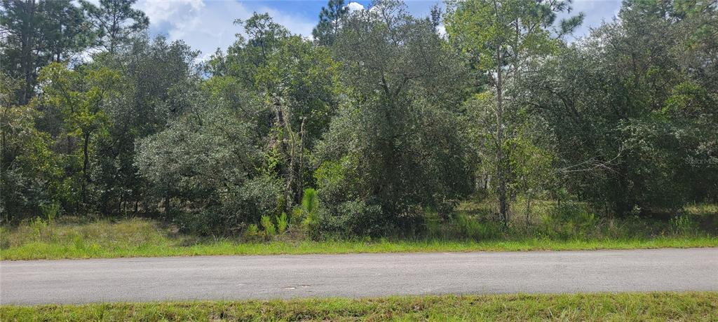 Property for sale at 0 SW BIG BEAR RIDGE, DUNNELLON, FL, 34431