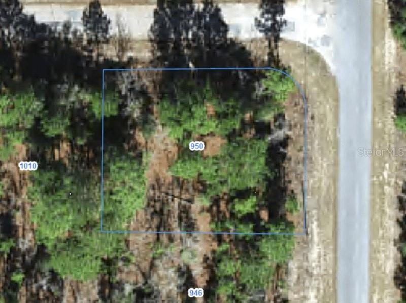 Property for sale at 950 W CARY DRIVE, CITRUS SPRINGS, FL, 34434