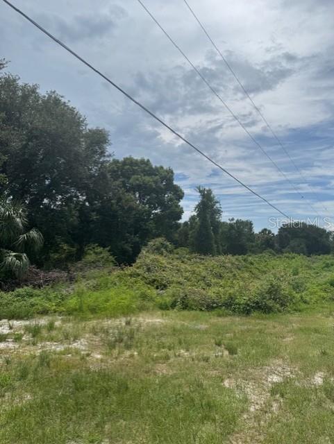 Property for sale at 1306 PELL ROAD, OSTEEN, FL, 32764