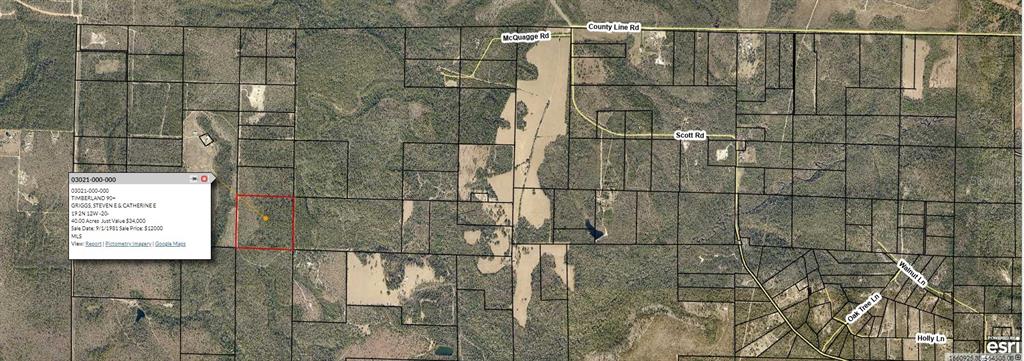 Property for sale at 19 2N 12W-20 UNKNOWN, FOUNTAIN, FL, 32438