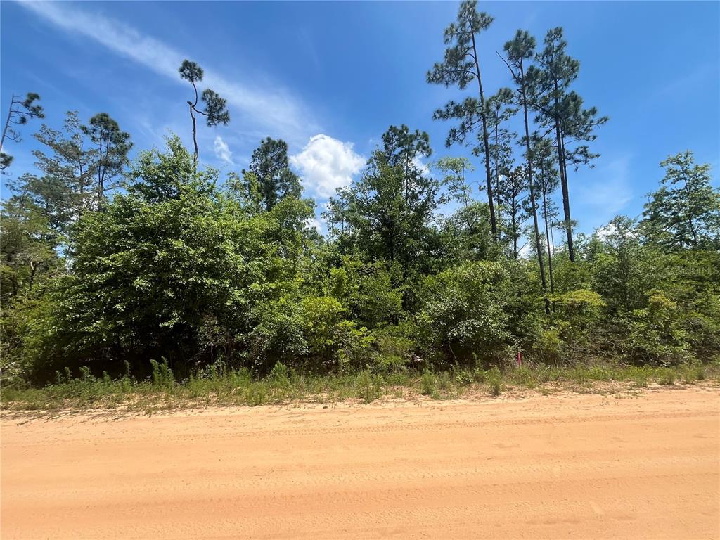 Property for sale at TAMARAC ROAD, MARIANNA, FL, 32448