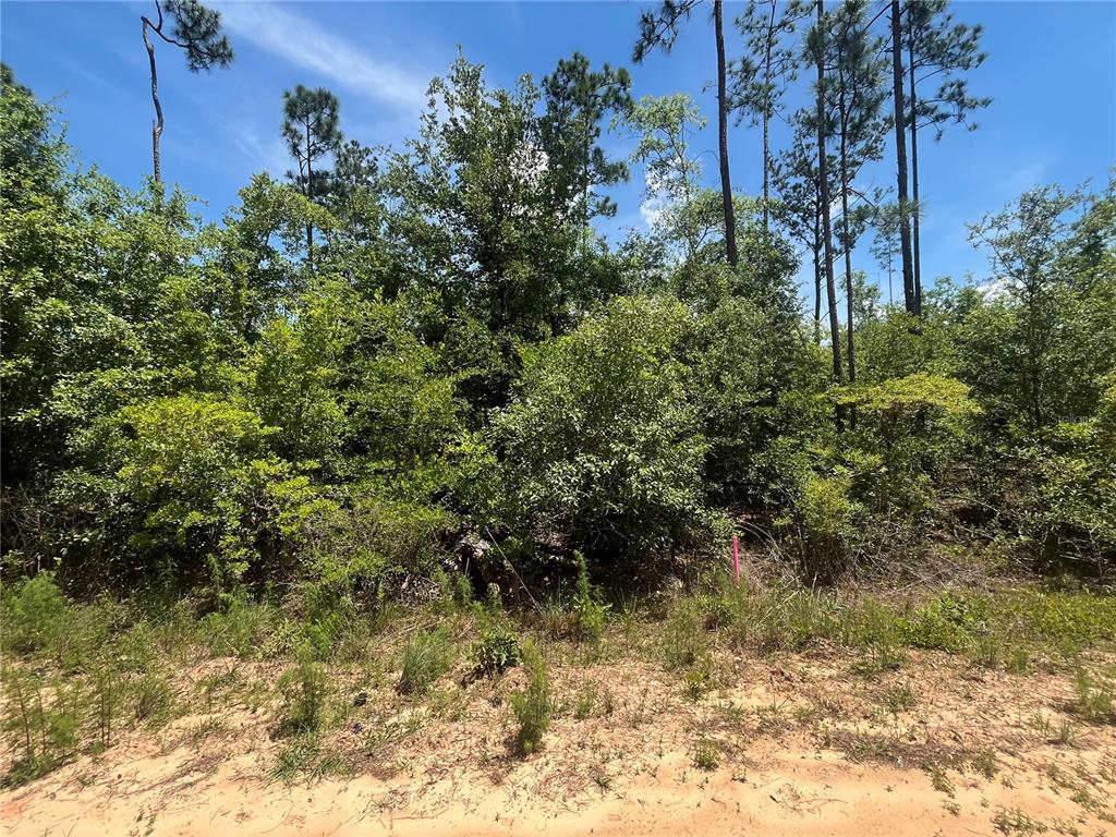 Property for sale at TAMARAC ROAD, MARIANNA, FL, 32448