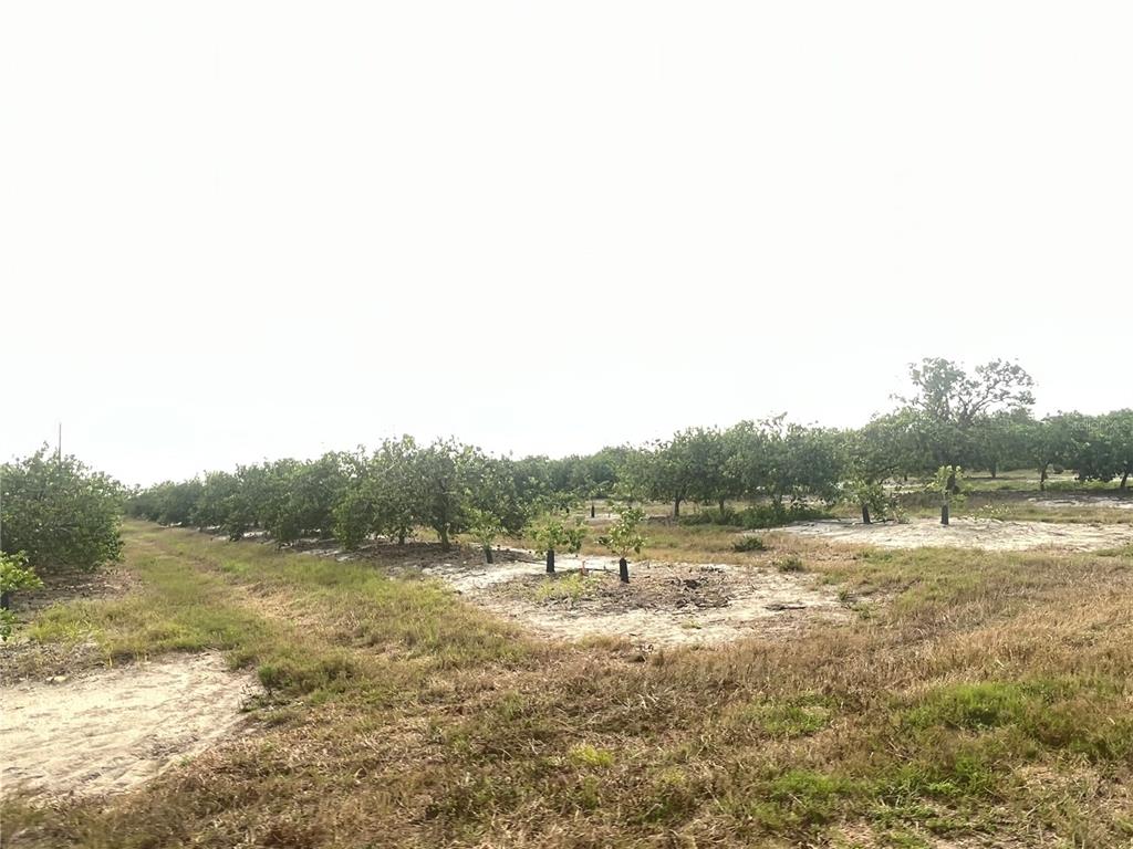 Property for sale at NE HWY 70, ARCADIA, FL, 34266
